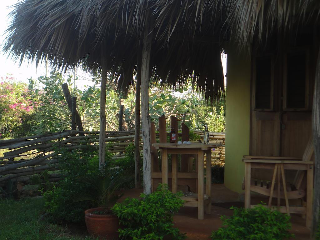 Kudehya Guesthouse Treasure Beach Phòng bức ảnh