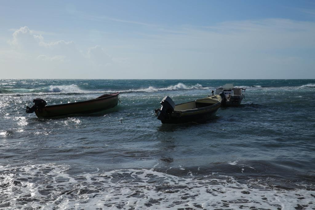 Kudehya Guesthouse Treasure Beach Ngoại thất bức ảnh