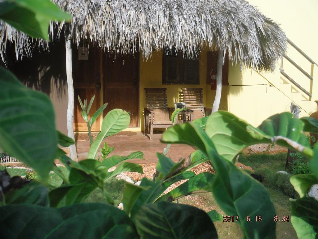 Kudehya Guesthouse Treasure Beach Ngoại thất bức ảnh