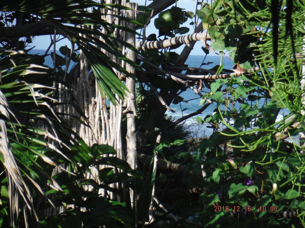 Kudehya Guesthouse Treasure Beach Ngoại thất bức ảnh